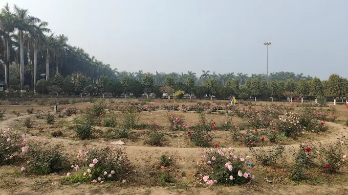 Rose Garden Mau